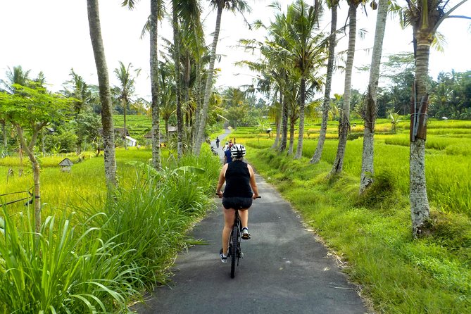 Half-Day Ubud Electric Cycling Tour to Tirta Empul Water Temple - Morning logistics: pickup, timing, and how the day is paced