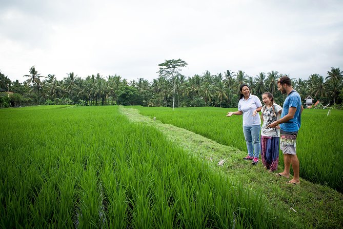 Half-Day Ubud Heritage Food Tour - Why Balinese food feels like part religion, part cooking