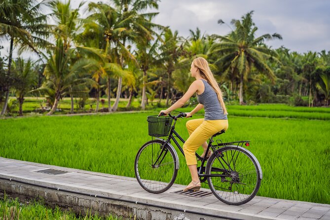 Half-Day Ubud Rice Field and Village Cycling Tour - Why Cycling From Ubud Feels More Real Than a Bus Ride