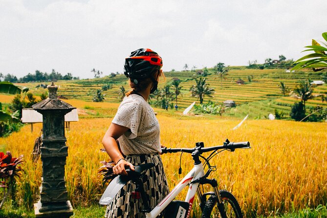Half-Day Ubud Rice Field and Village Cycling Tour - Pickup, Air-Conditioned Comfort, and the Real Start of Your Day