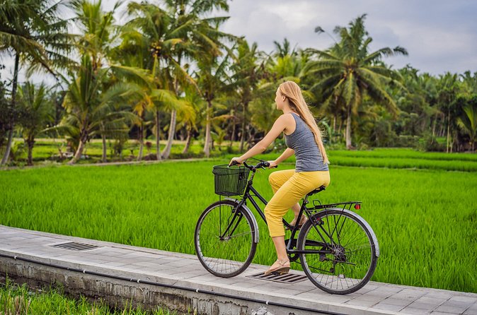 Half-Day Ubud Rice Field and Village Cycling Tour - Lunch After the Ride: Traditional Balinese Food, Not a Random Snack