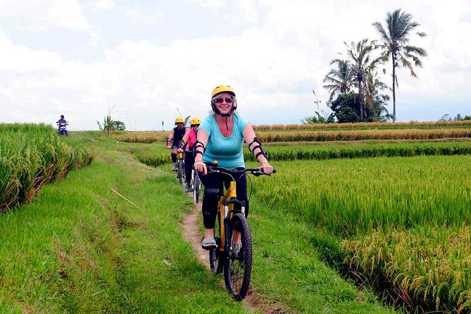 Half-Day Ubud Rice Field and Village Cycling Tour - Guides Make or Break It: Bagus, Sujaya, Eddie, and Arak