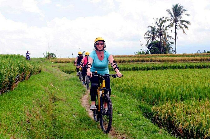 Half-Day Ubud Rice Field and Village Cycling Tour - Who Should Book This Ubud Rice Field Cycling Tour