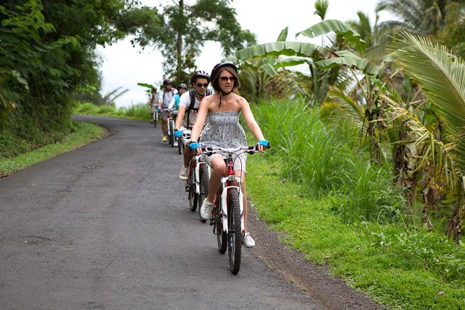 Half-Day Ubud Rice Field and Village Cycling Tour - What the Ride Feels Like: Rice Terraces, Backroads, and Breathing Space