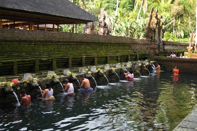Half Day Ubud Tour - Private Guided Tour - Half Day Ubud Tour: what the 5–7 hour format really gives you