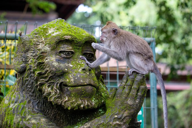 Half Day Ubud Tour: Ubud Unique Spots - Price and logistics for a half-day that still feels full