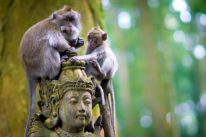 Half Day Ubud Tour: Ubud Unique Spots - What you should bring for this afternoon