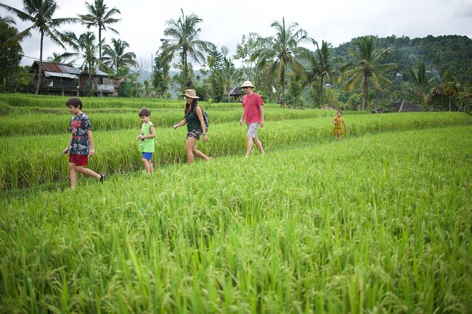 Haunted Valley Waterfall ATV and Bike Tour - The ATV plan: Finn Komodo off-road fun for 2.5 hours
