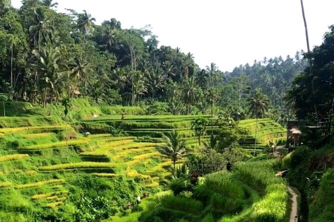 Heaven Gate, Tirtagangga and Tukad Cepung Waterfall - All Inclusive - Practical Tips Before You Go (So the Day Feels Easier)