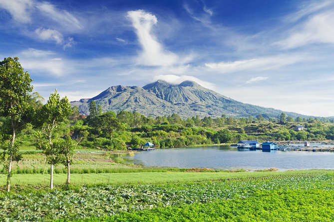 Highlights of Ubud & Mount Batur Volcano - Private Day Trip - Private Ubud pickup and the 10-hour reality check