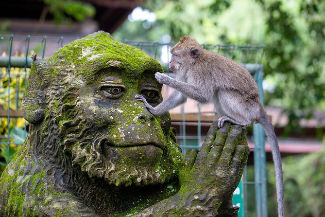 Highlights of Ubud & Mount Batur Volcano - Private Day Trip - Tirta Empul Temple: sacred water, real crowds, and etiquette