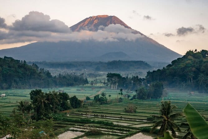 Hire a Private Car and Driver - Ubud Core: Tegalalang Rice Terraces, Tirta Empul, and the Monkey Forest