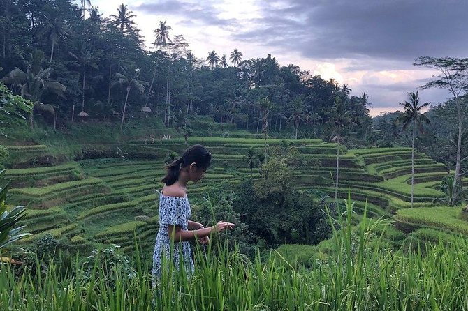 Hire Bali Driver for 10-hour (Bali as You Please) - South Bali route: Garuda Wisnu Kencana, beaches, and the Uluwatu cliff vibe