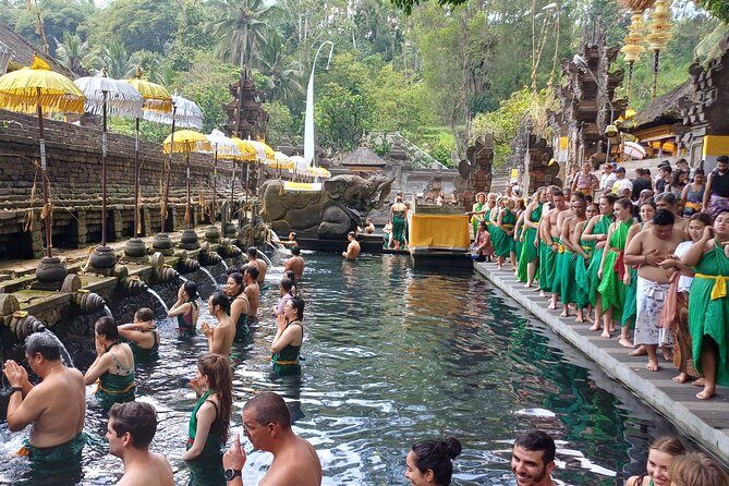 Hire Car with Driver in Bali - Stop 1: Sacred River Spa Stops and Monkey Forest Time