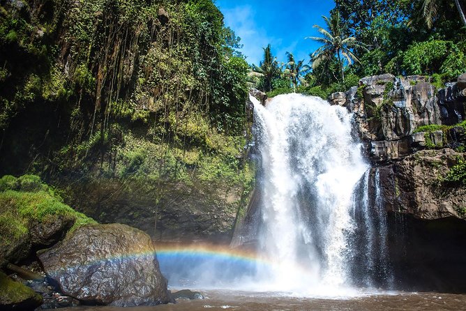 Hire Private Bali Driver - Western and Coast Route Ideas: Canggu, Tanah Lot, and Taman Ayun