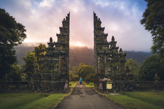 Hire Private Bali Driver - Ubud-Area Stops: Tegalalang, Monkey Forest, and Tegenungan