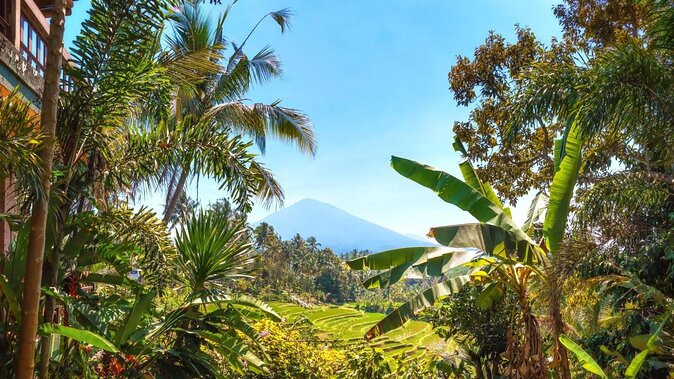Jatiluwih Batukaru Mountain Nature's Best Tour - Quick Take: What You’ll Care About on This Tour