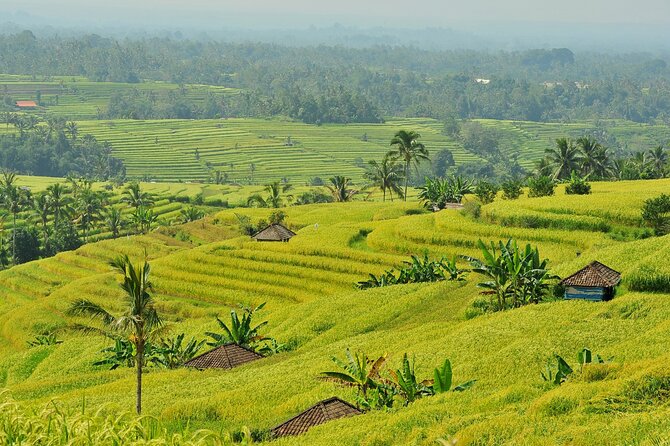 Jatiluwih Batukaru Mountain Nature's Best Tour - Stop 1: Mount Batukaru Foothills and the Farming Way of Life