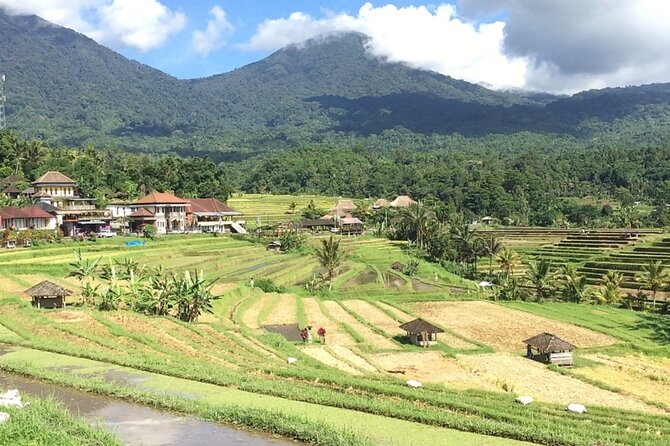 Jatiluwih Batukaru Mountain Nature's Best Tour - The Stops That Can Feel Like Side Quests (Crafts, Coffee, and Sales Pacing)