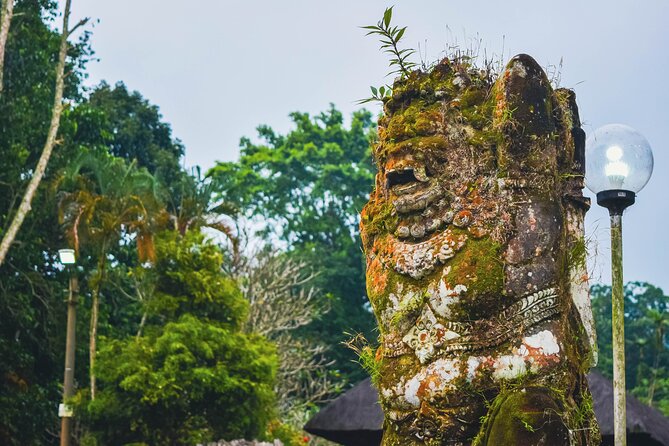 Jatiluwih Batukaru Mountain Nature's Best Tour - Food, Timing, and How to Keep Your Energy Up