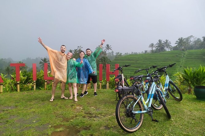 Jatiluwih E-bikes Tour Cycling Group - Price and value: $49.95 for what you’re actually doing