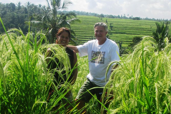 Jatiluwih full day e-bike cycling with lunch & trekking program - Price and What You Actually Get for $88