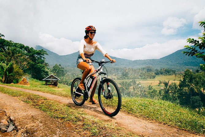 Jatiluwih in detail (1 h. e-bike tour in the rice terraces) - Key Things to Know Before You Go