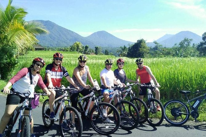 Jatiluwih in detail (1 h. e-bike tour in the rice terraces) - Jatiluwih UNESCO Rice Terraces: What You’re Actually Chasing