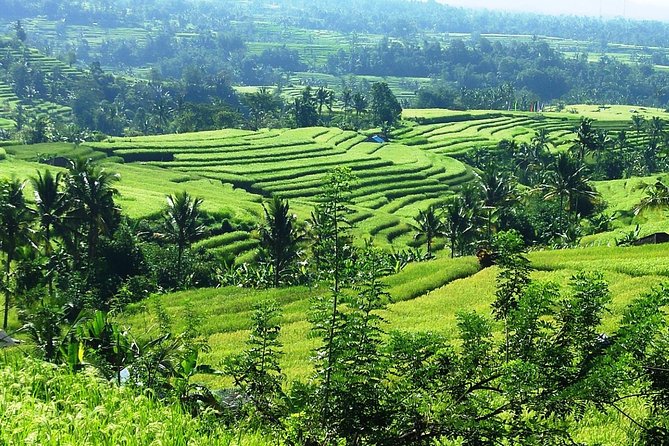 Jatiluwih in detail (1 h. e-bike tour in the rice terraces) - Safety Setup: Helmet, Insurance, and a Calm Pace