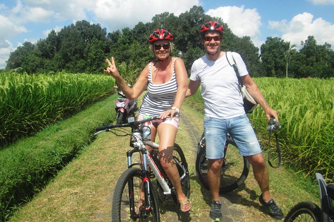 Jatiluwih in detail (1 h. e-bike tour in the rice terraces) - How the E-Bike Changes Jatiluwih (In a Good Way)