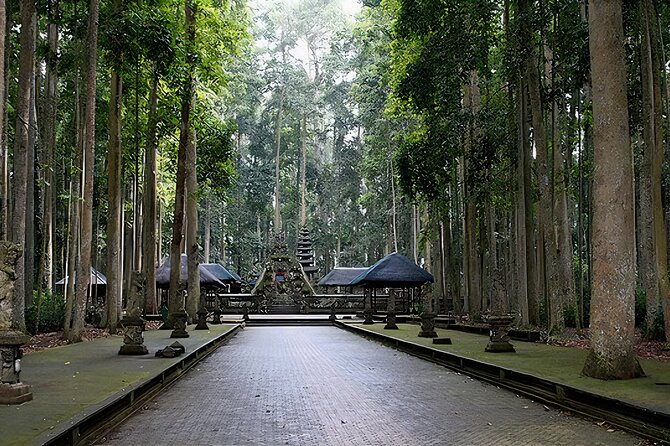 Jatiluwih Spiritual Journey of Melukat with Rice Terrace View - Pura Kahyangan Kedatuan Raksa Sidhi: the Melukat water blessing moment