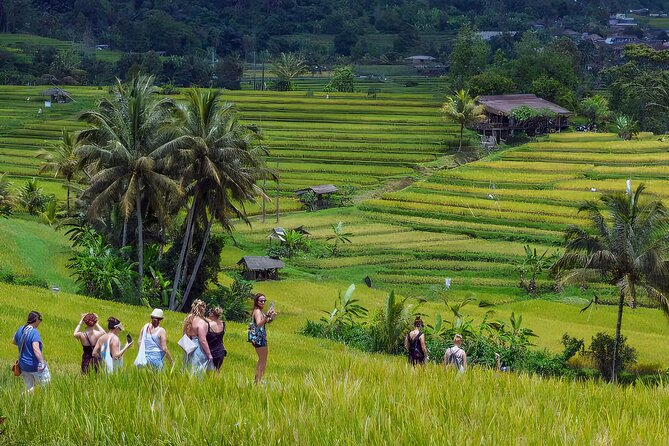 Jatiluwih Spiritual Journey of Melukat with Rice Terrace View - The pace of a 10-hour private circuit (and what to do about it)