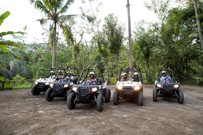Jungle Buggy Adventure and Ubud Tour - The 8:00 am start and hotel pickup: logistics that affect the vibe