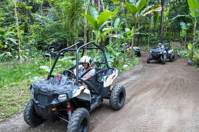 Jungle Buggy Adventure and Ubud Tour - Sacred Monkey Forest Sanctuary: close encounters, plan your moments