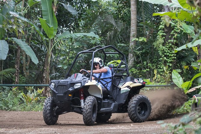 Jungle Buggy Adventure and Ubud Tour - Price and value: what $100 buys you (and what costs extra)
