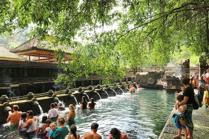 Jungle Swing - Volcano - Water Temple - Monkey Forest and Waterfall Tour - A full-day route that strings together the best of central Bali