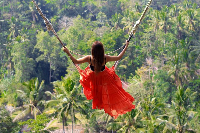 Jungle Swing - Volcano - Water Temple - Monkey Forest and Waterfall Tour - Sacred Monkey Forest Sanctuary: fun wildlife, rules-first behavior