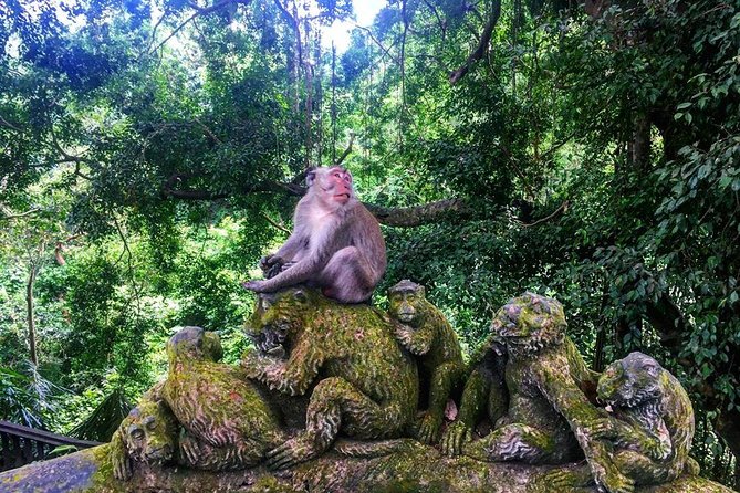Jungle Swing - Volcano - Water Temple - Monkey Forest and Waterfall Tour - The best part of a private tour: you can reshape the day