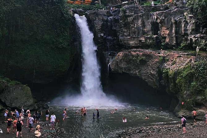 Jungle Swing - Volcano - Water Temple - Monkey Forest and Waterfall Tour - How pickup and a private vehicle save your whole morning
