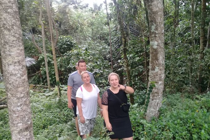 Keliki Village Tour And Rice Field Walk Including Lunch Or Dinner - The 3–4 hour walk: how it plays out in real time