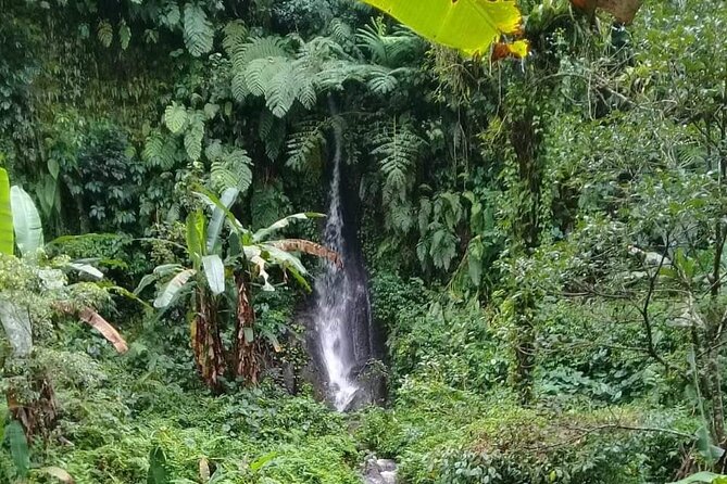 Keliki Village Tour And Rice Field Walk Including Lunch Or Dinner - The 3–4 hour walk: how it plays out in real time