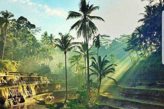 Kintamani and Tukad Cepung Waterfall Tour - Price and Value: Is $78 Worth It?