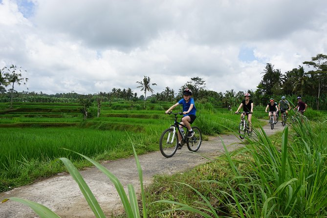 Kintamani Cultural and Nature Cycling Tour ( Manual Bike ) - Kintamani Bike Tour: Key Highlights That Matter