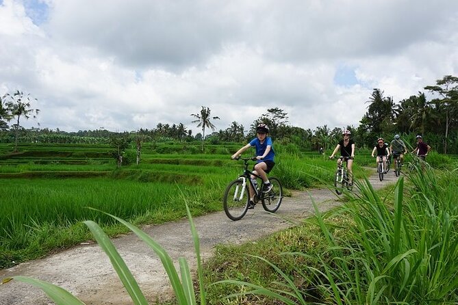 Kintamani Cultural and Nature Cycling Tour ( Manual Bike ) - Stop-by-Stop Breakdown: What Each Part Gives You