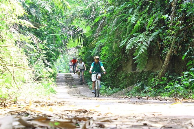 Kintamani Cultural and Nature Cycling Tour ( Manual Bike ) - What Could Go Wrong (and How to Reduce the Odds)