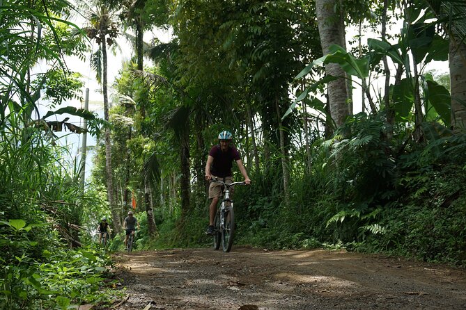Kintamani Cultural and Nature Cycling Tour ( Manual Bike ) - The Ride Itself: Rice Fields, Villages, and Green Country Roads