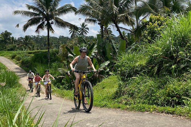 Kintamani Down Hill Cycling - Key highlights