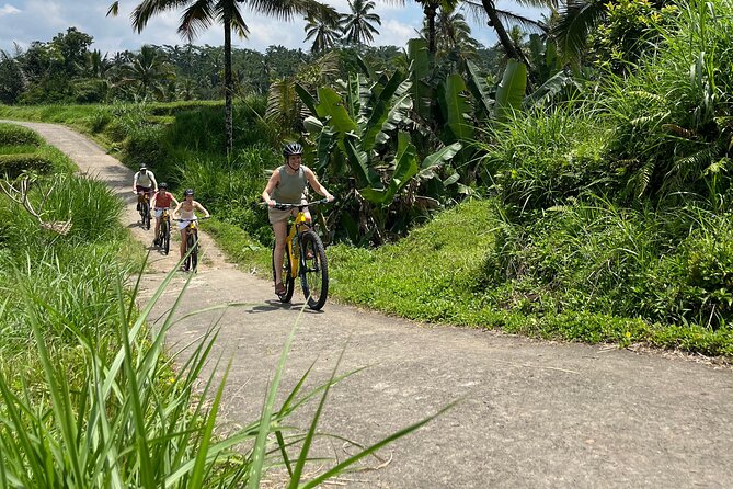 Kintamani Down Hill Cycling - Price and Value: Why $33.60 Can Make Sense Here