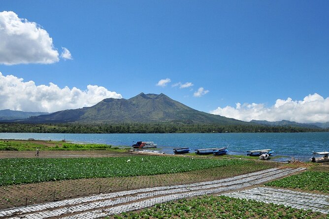 Kintamani Lake & Volcano Tour - Celuk Village and Ubud: Gold and Silver Where It’s Made