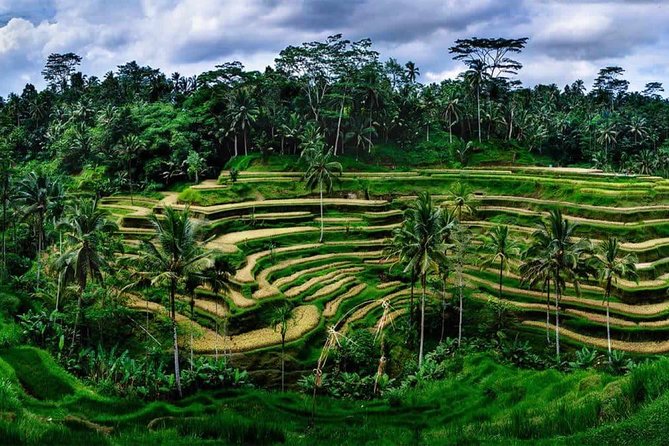 Kintamani Vulcano Tour - Starting with a traditional produce market